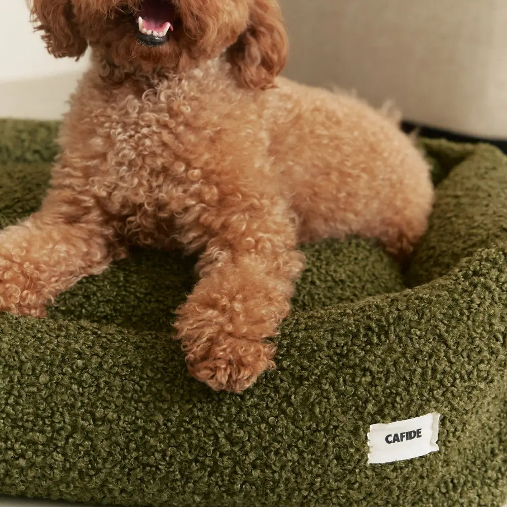 Cafide Hundeseng – Aftagelig & Vaskbar i Grøn Teddy-stof