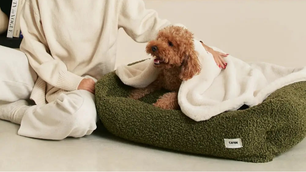 Cafide Hundetæppe – Lys Beige med håreffekt