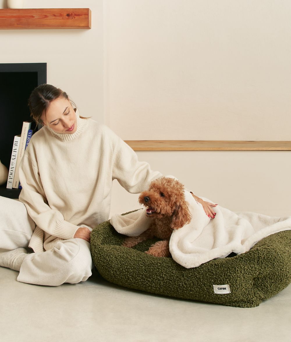 Cafide Hundeseng - Aftagelig & Vaskbar i Grøn Teddy-stof