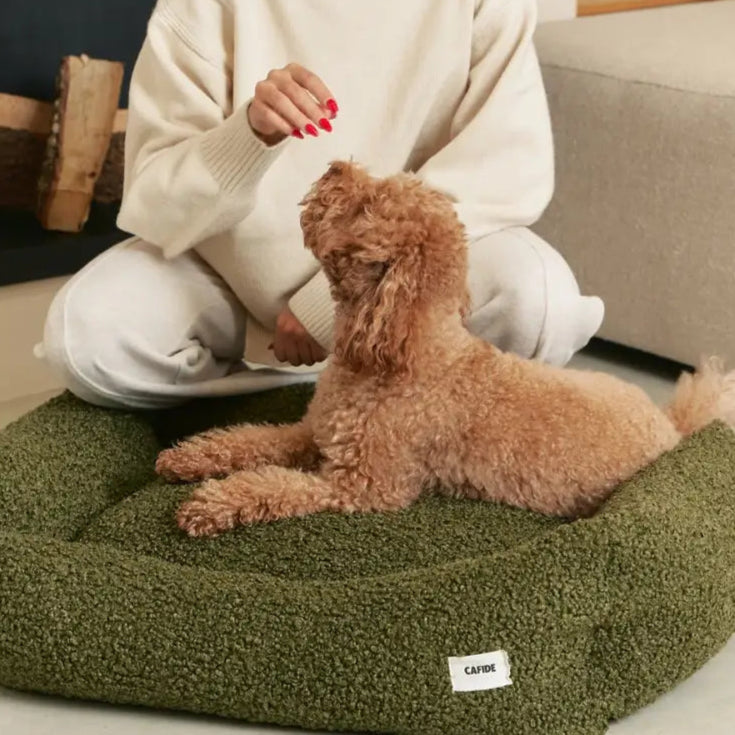 Cafide Hundeseng – Aftagelig & Vaskbar i Grøn Teddy-stof